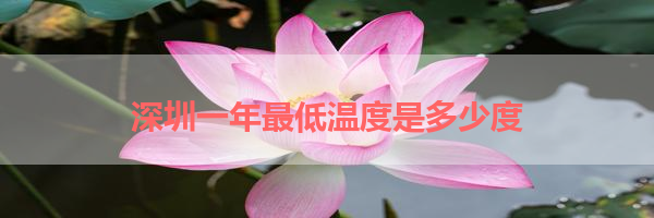 IMG_6254.png
