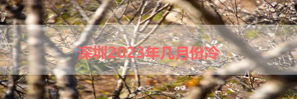IMG_9971-13.png