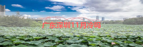 IMG_6403.png