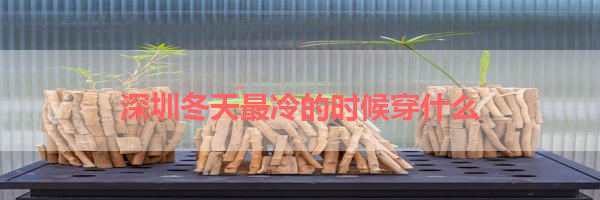 IMG_6150.png