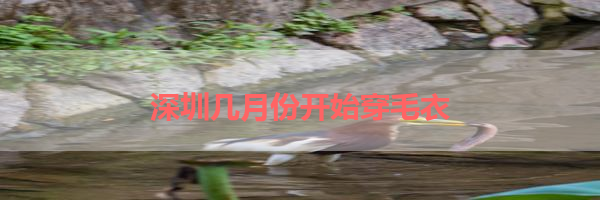 IMG_6206.png