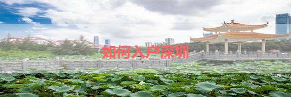 IMG_6359.png