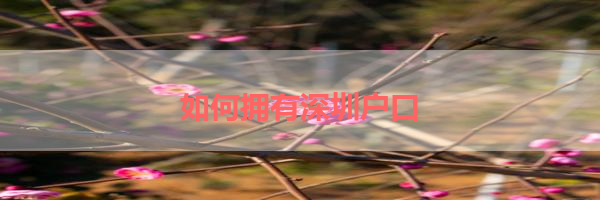 IMG_0117-29.png