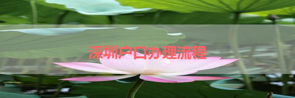 IMG_6249.png