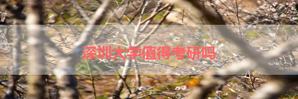 IMG_9971-13.png