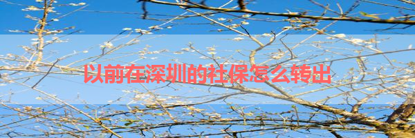 IMG_0184-5.png