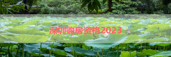 IMG_6194.png