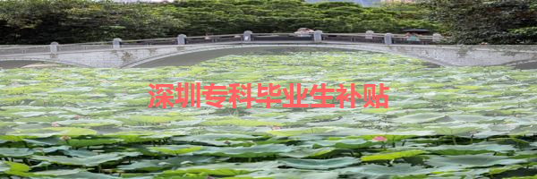 IMG_6267.png
