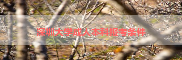 IMG_9971-13.png
