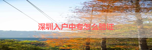 IMG_9995-3.png