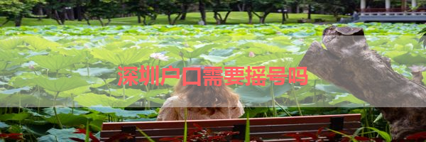 IMG_6237.png