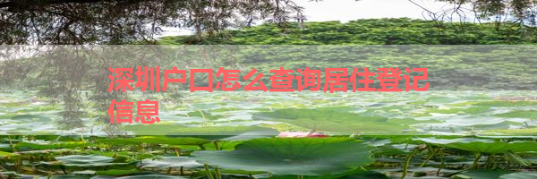 IMG_6040.png