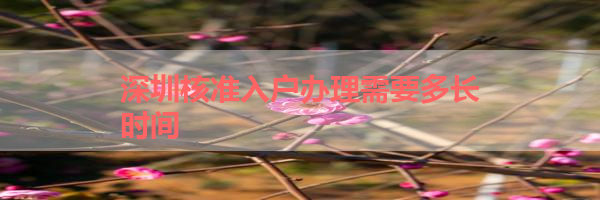 IMG_0117-29.png