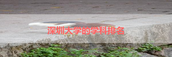 IMG_6204.png