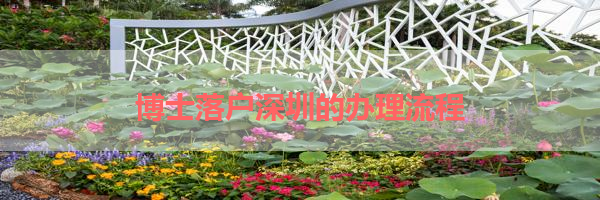 IMG_5917.png