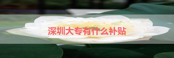 IMG_6129.png