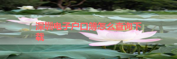 IMG_5996.png