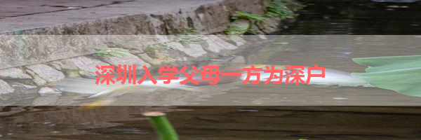 IMG_6207.png