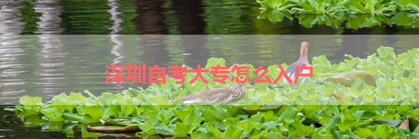 IMG_5922.png