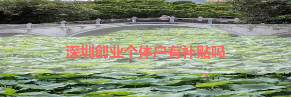 IMG_6267.png