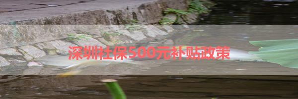 IMG_6207.png