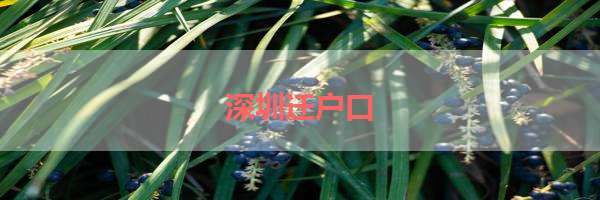 IMG_0075-23.png