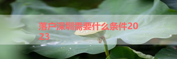 IMG_5892.png