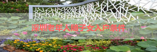 IMG_5917.png