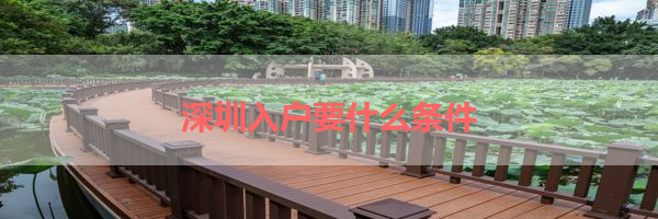 IMG_6307.png