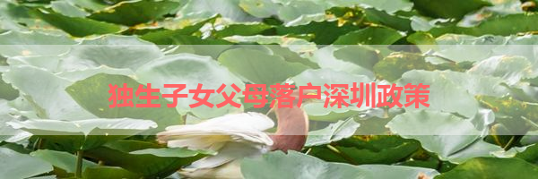 IMG_5930.png