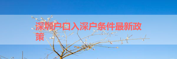 IMG_0239-11.png