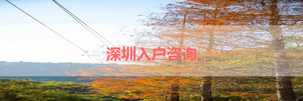 IMG_9995-3.png