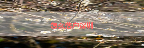 IMG_0028-19.png