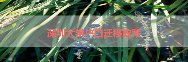 IMG_0075-23.png