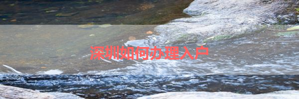 IMG_9868-20.png