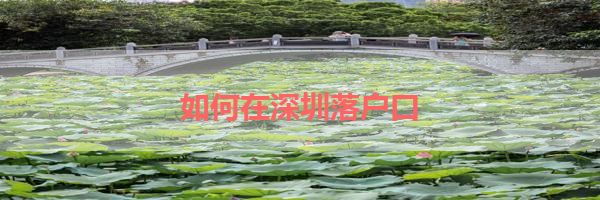 IMG_6267.png
