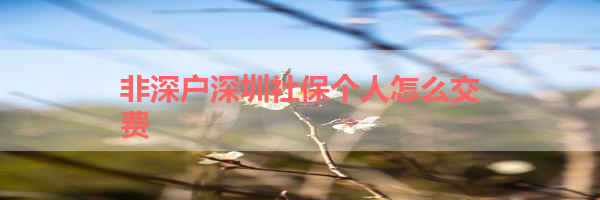 IMG_9963-12.png