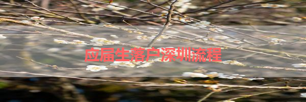 IMG_0028-19.png