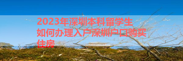 IMG_0195-7.png