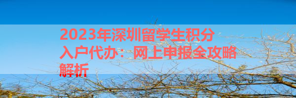 IMG_0226-9.png