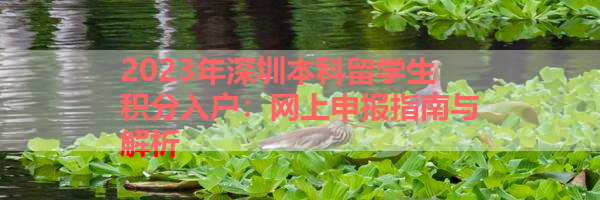 IMG_5922.png