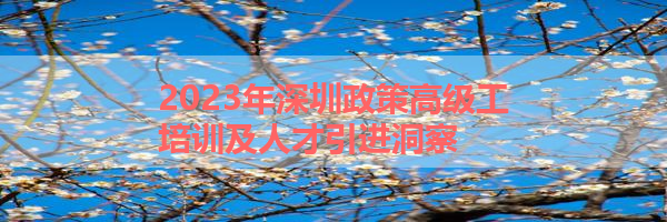 IMG_9986-15.png