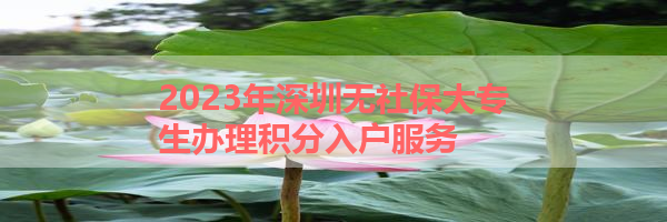 IMG_5985.png