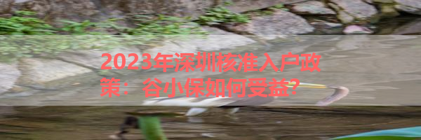 IMG_6206.png