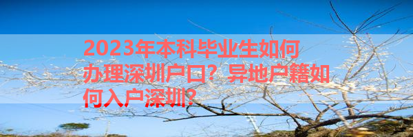 IMG_0166-2.png