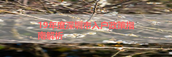 IMG_0028-19.png