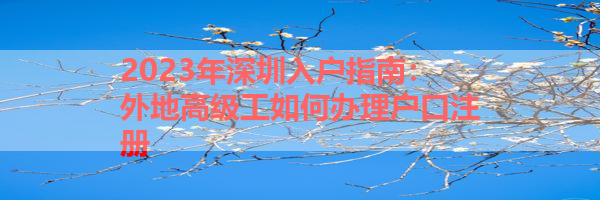 IMG_9999-17.png