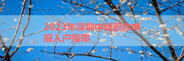 IMG_9977-14.png