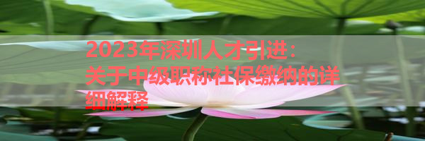 IMG_6249.png