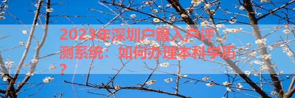IMG_9977-14.png